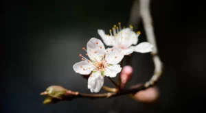 Güne Enerjik Başlamak İçin Sabah Rutinlerinde Uygulanabilecek Etkili Alışkanlıklar