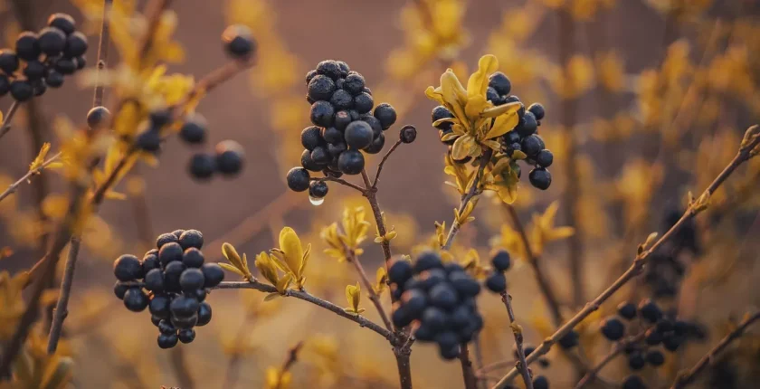 Son Dönemde Tüm Dünyada En Çok Konuşulan Diziler ve İzleyicilerden Gelen Yorumlar